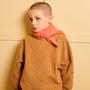 Riverson Cotton Teddy Sweatshirt (Brown)